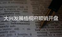 大兴发展梧桐府顺销开盘，38套认购	
、均价4.3万/平