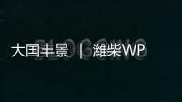 大国丰景 ｜ 潍柴WP4.6N收获机动力
，低速高效真省油！