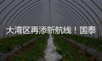 快排公司十年历程，霸屏兔 seo 的崛起与坚守