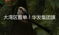 快排公司十年历程，霸屏兔 seo 的崛起与坚守