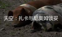 天空：扎卡与尼奥姆谈妥1000万欧年薪
，费内巴切仍在劝说球员加盟