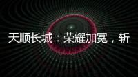 天顺长城：荣耀加冕，斩获大奖!