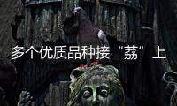 多个优质品种接“荔”上市，斗门今年荔枝总产量将达4500吨