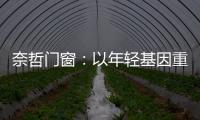 奈哲门窗：以年轻基因重塑行业格局，一线品牌的破界成长之路