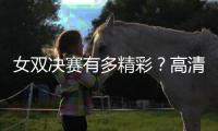 快排公司十年历程，霸屏兔 seo 的崛起与坚守