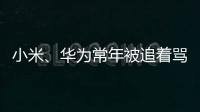 小米、华为常年被追着骂？前魅族高管李楠撕了车圈的遮羞布！