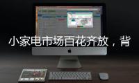 小家电市场百花齐放，背后的安全隐患不容忽视。