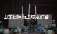 山东日照海边爆发浒苔
，游客称有恶臭味，当地回应正组织打捞，专家解读影响和治理