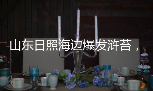 推土机每天会不停地推
