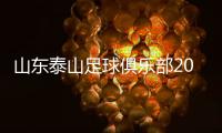 山东泰山足球俱乐部2025赛季球迷开放日公告