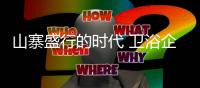 山寨盛行的时代 卫浴企业如何抢占市场	？