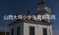 山西大同小学生遭多名同学辱骂、殴打、欺凌，官方通报