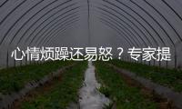 心情烦躁还易怒�？专家提醒35℃以上当防“情绪中暑”丨硬核唠科