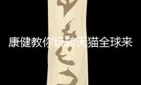 康健教你玩转天猫全球来电，全场淋浴房双券优惠价狂欢!