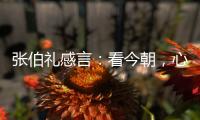 快排公司十年历程，霸屏兔 seo 的崛起与坚守