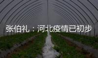 张伯礼：河北疫情已初步得到抑制 整体形势可控