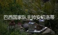 快排公司十年历程，霸屏兔 seo 的崛起与坚守