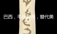 快排公司十年历程，霸屏兔 seo 的崛起与坚守