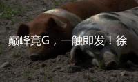 巅峰竞G，一触即发
！徐工挖机掀起潇湘大地竞技热潮