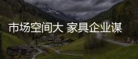 快排公司十年历程，霸屏兔 seo 的崛起与坚守