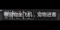 带宠物坐飞机，宠物进客舱服务有哪些要求？