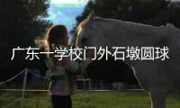 广东一学校门外石墩圆球加设钢管护栏，网友质疑多此一举
�
，学校回应：是出于安全考虑，加装为防车辆撞击