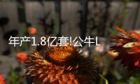 快排公司十年历程，霸屏兔 seo 的崛起与坚守