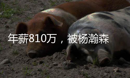 不喜爱和对手进行对抗