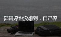郭碧婷也没想到，自己停工拼命给向家添丁，向佐却悄悄“变了脸”