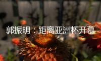 快排公司十年历程，霸屏兔 seo 的崛起与坚守
