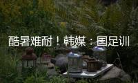 快排公司十年历程，霸屏兔 seo 的崛起与坚守