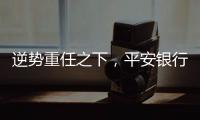 逆势重任之下，平安银行大变阵，业绩能否再提振？｜透视金融业年报①