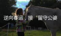 逆向春运
，接“留守公婆”来京过年