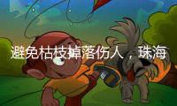 避免枯枝掉落伤人�
，珠海数字城管开展行道树专项治理