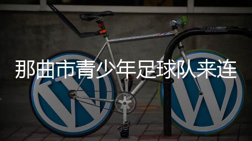 促进两地青少年交往交流交融