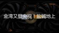 金湾又登央视！盐碱地上“变”出1.8万亩良田