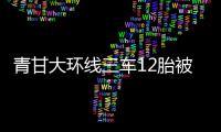 青甘大环线三车12胎被扎，官方通报
：两人被抓