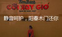 静音呵护，阳春木门还你一个安静温馨的家