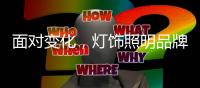 面对变化
，灯饰照明品牌如何激发内在驱动力?