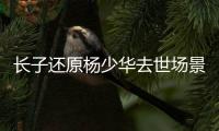 长子还原杨少华去世场景	！头晕送医半路离世，杨议隐瞒细节惹争议