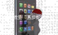随意放生“五步蛇”？被毒蛇咬伤，这一动作能“保命”