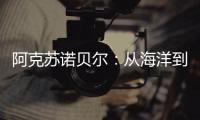 快排公司十年历程，霸屏兔 seo 的崛起与坚守