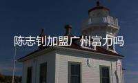 快排公司十年历程，霸屏兔 seo 的崛起与坚守