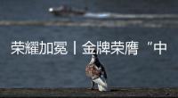 荣耀加冕丨金牌荣膺“中国十大电缆品牌”，匠心铸就行业辉煌