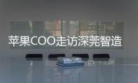 快排公司十年历程，霸屏兔 seo 的崛起与坚守