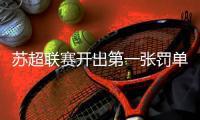 快排公司十年历程，霸屏兔 seo 的崛起与坚守