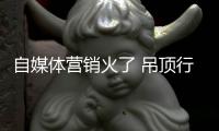 快排公司十年历程，霸屏兔 seo 的崛起与坚守