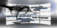 快排公司十年历程，霸屏兔 seo 的崛起与坚守