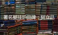 著名壁挂炉品牌
：树立品牌形象 建立服务体系