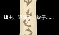 蜱虫、隐翅虫	、蚊子……夏季常见蚊虫如何应对